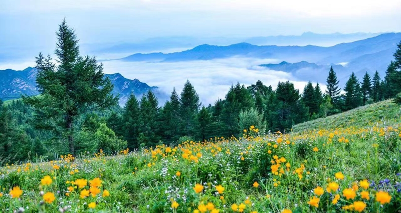 駝梁風景區美景