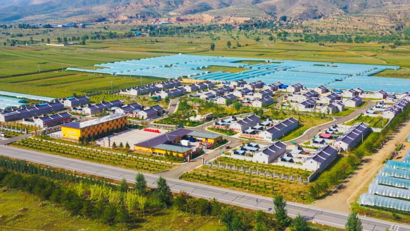 花苑村設施農業基地。
