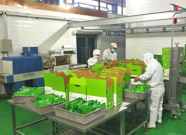 右玉縣全力打造生態羊特色專業鎮該縣打造“生產+加工+科技”的高質量發展模式，形成種養規?；?、加工集群化、科技集成化、營銷品牌化的全產業鏈開發格局，為高標準、高質量打造生態羊特色專業鎮提供有力保障。