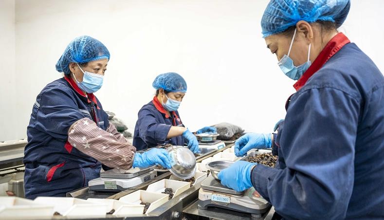 對中藥飲片篩選、包裝