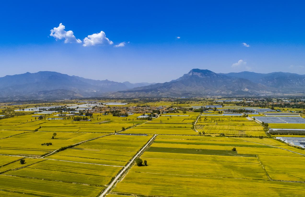 馬首山