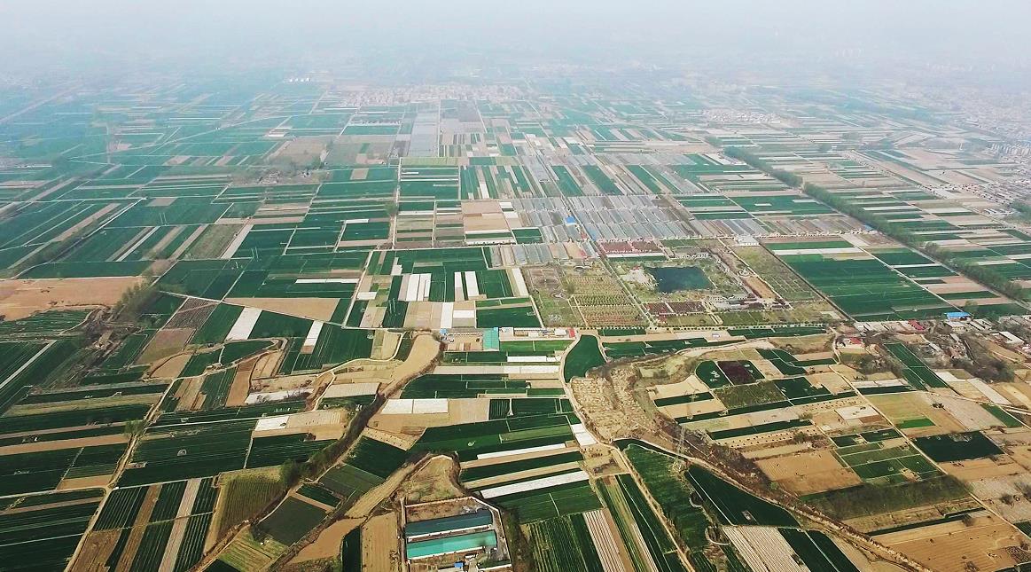 秦壁村田園風光無限現在的秦壁，四季有花，全年常綠，農家庭院，整潔有序，村里村外，文明成風。