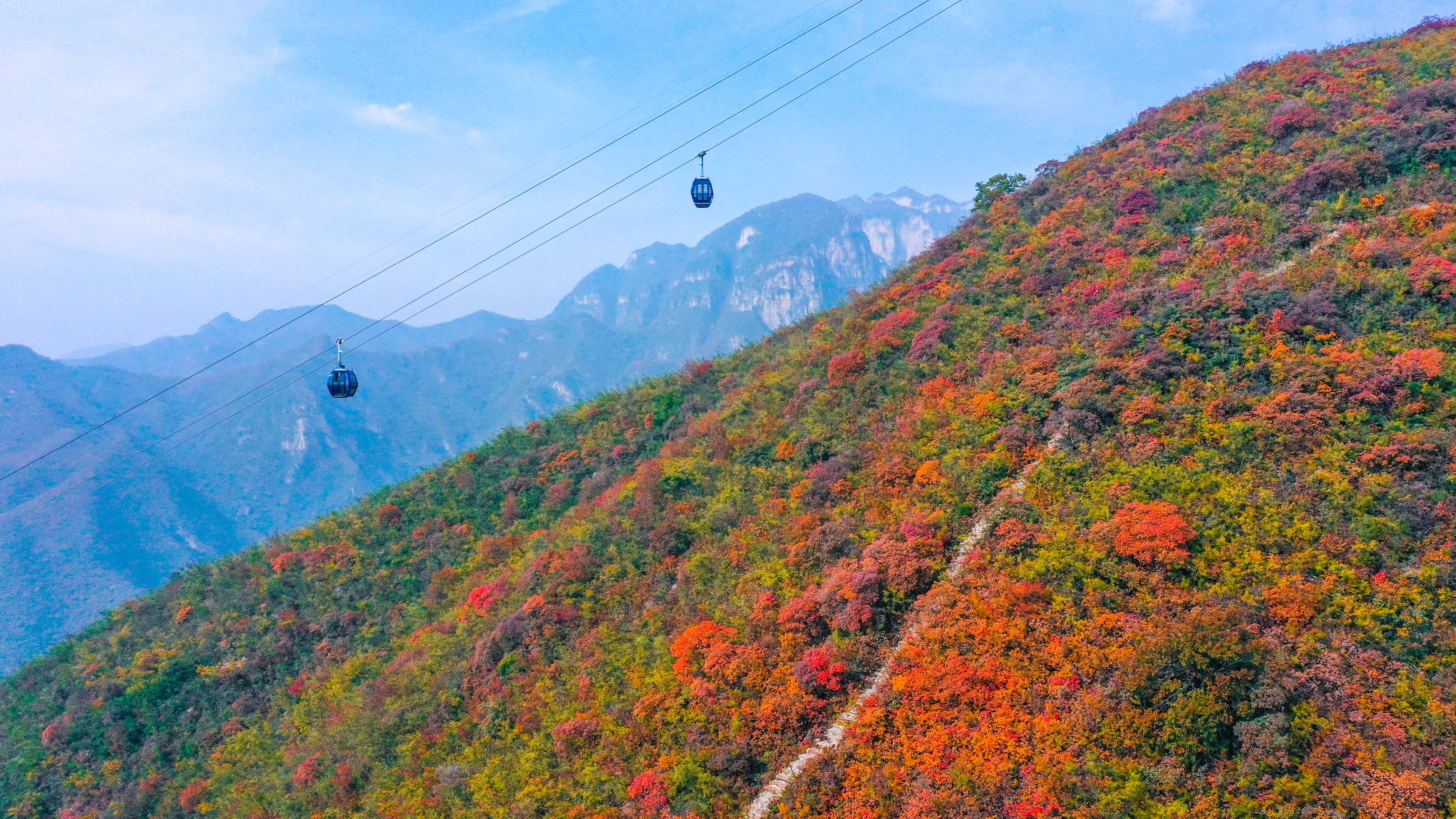 云臺山萬畝彩林秋意濃。景區供圖