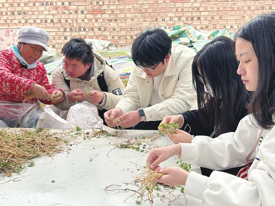 團隊成員在長治黎城黨參種植基地調研。圖片均為資料圖