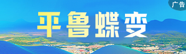 平魯蝶變