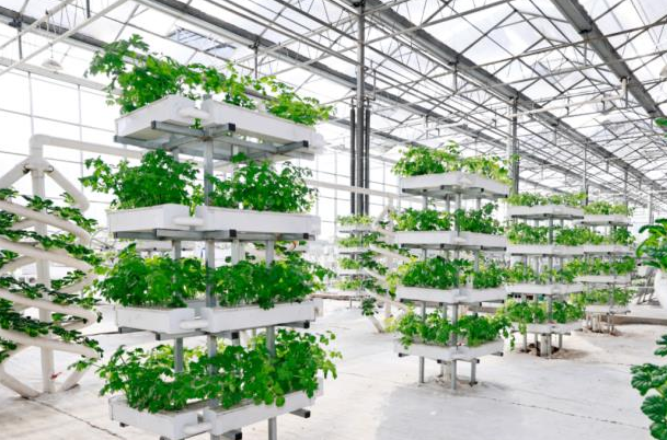 杜兒坪街道數字農業園