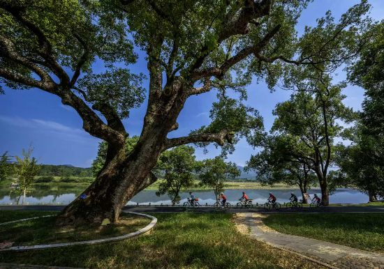 武夷山國家公園1號風景道（南平崇陽溪段）。吳大灼 攝